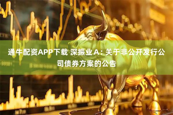 通牛配资APP下载 深振业Ａ: 关于非公开发行公司债券方案的公告