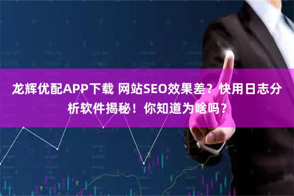 龙辉优配APP下载 网站SEO效果差？快用日志分析软件揭秘！你知道为啥吗？